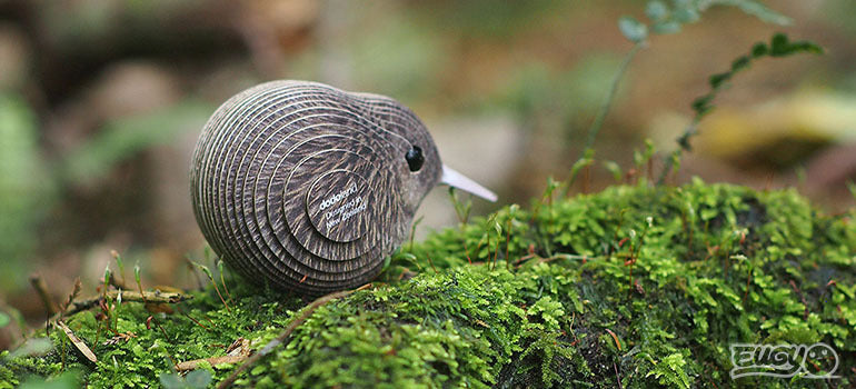 Eugy 3D Paper Model: Kiwi