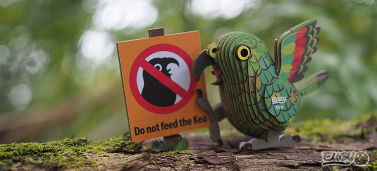 Eugy 3D Paper Model: Kea