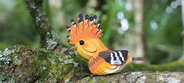 Eugy 3D Paper Model: Hoopoe
