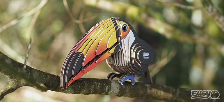 Eugy 3D Paper Model: Toucan