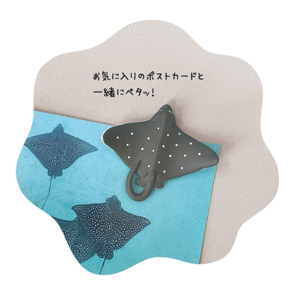 Decole: Magnet Ray