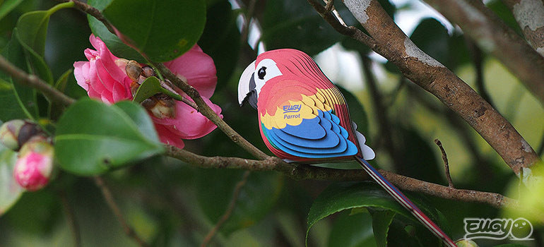 Eugy 3D Paper Model: Parrot