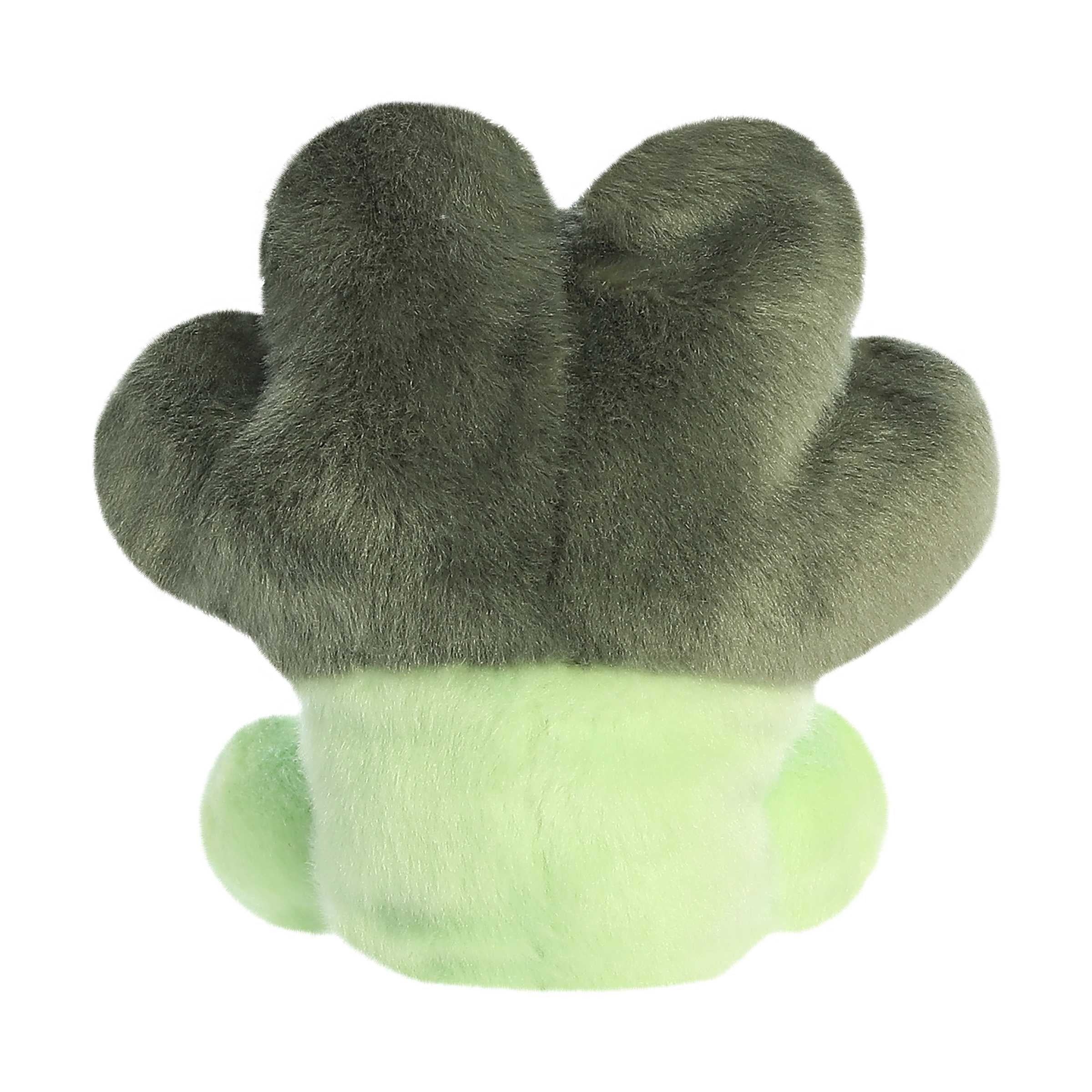 Palm Pal: Luigi Broccoli