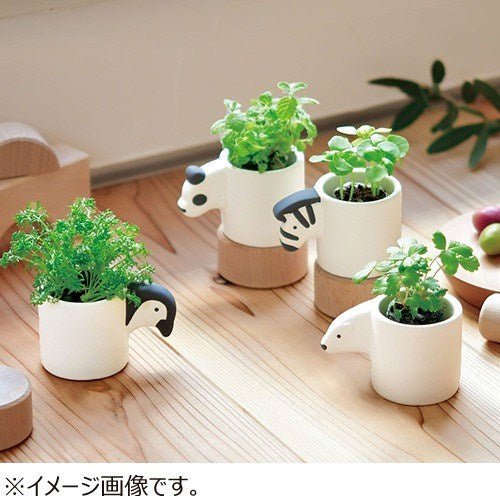 Seishin: Growing Kit  Monokuro Panda Apple Mint