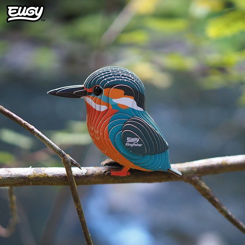 EUGY 3D Paper Model: Kingfisher