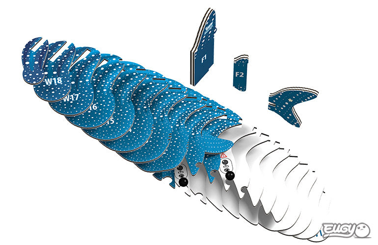 Eugy 3D Paper Model: Whale Shark