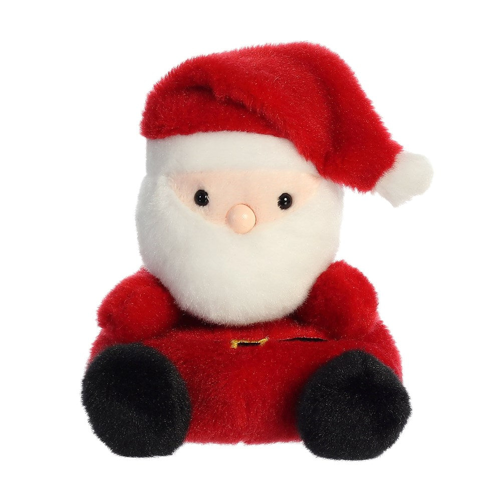 Palm Pals: Santa Clus