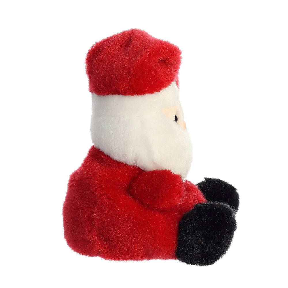 Palm Pals: Santa Clus