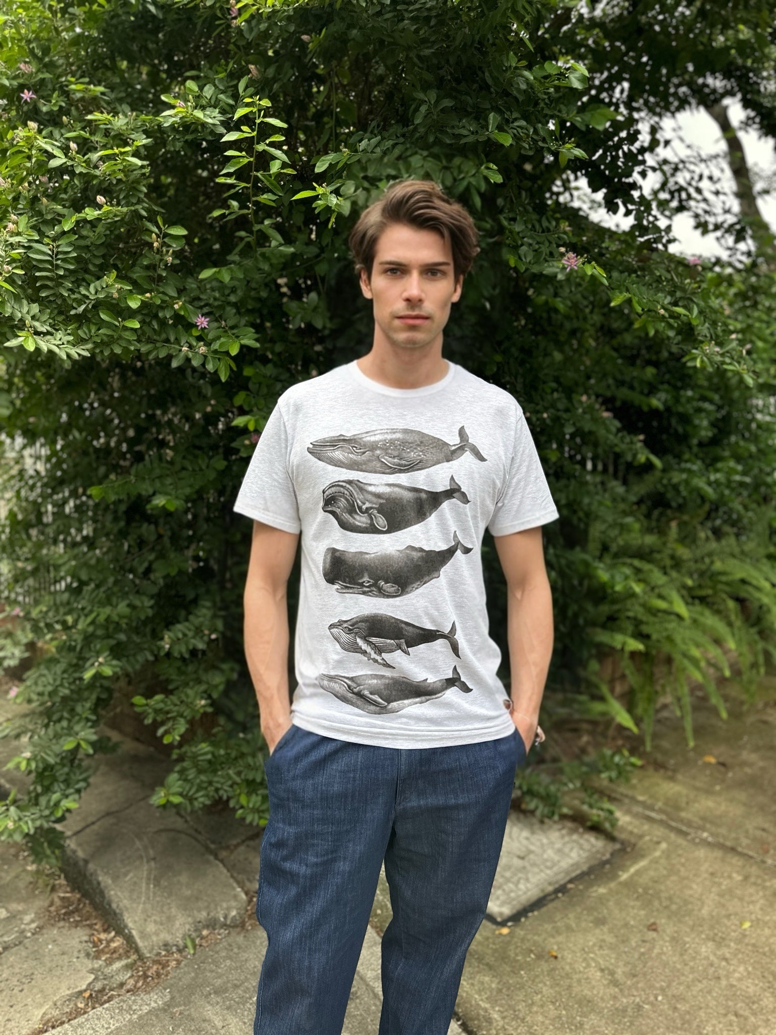 Vintage Whales Men's Tee - Grey Marle