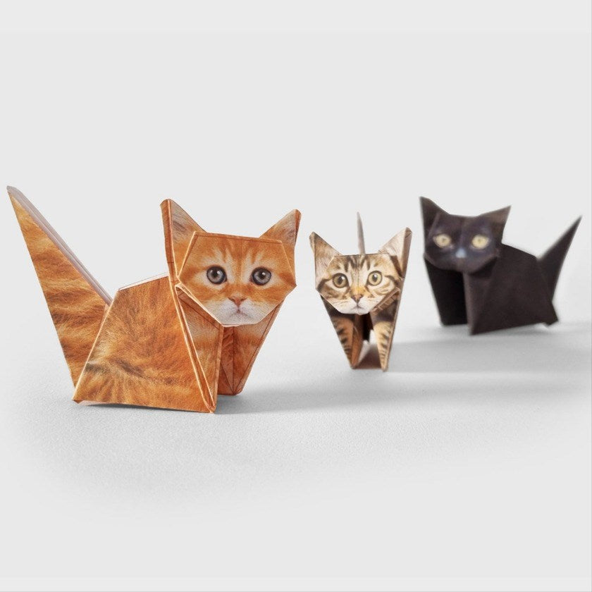 Pikkii: Paper Cats