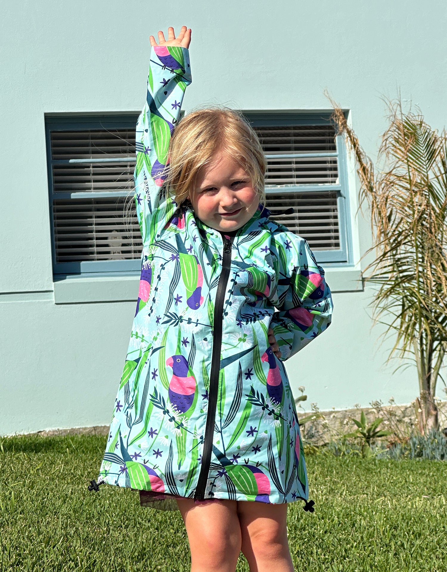 Raincoat Lorikeets in the Melaleucas Kids
