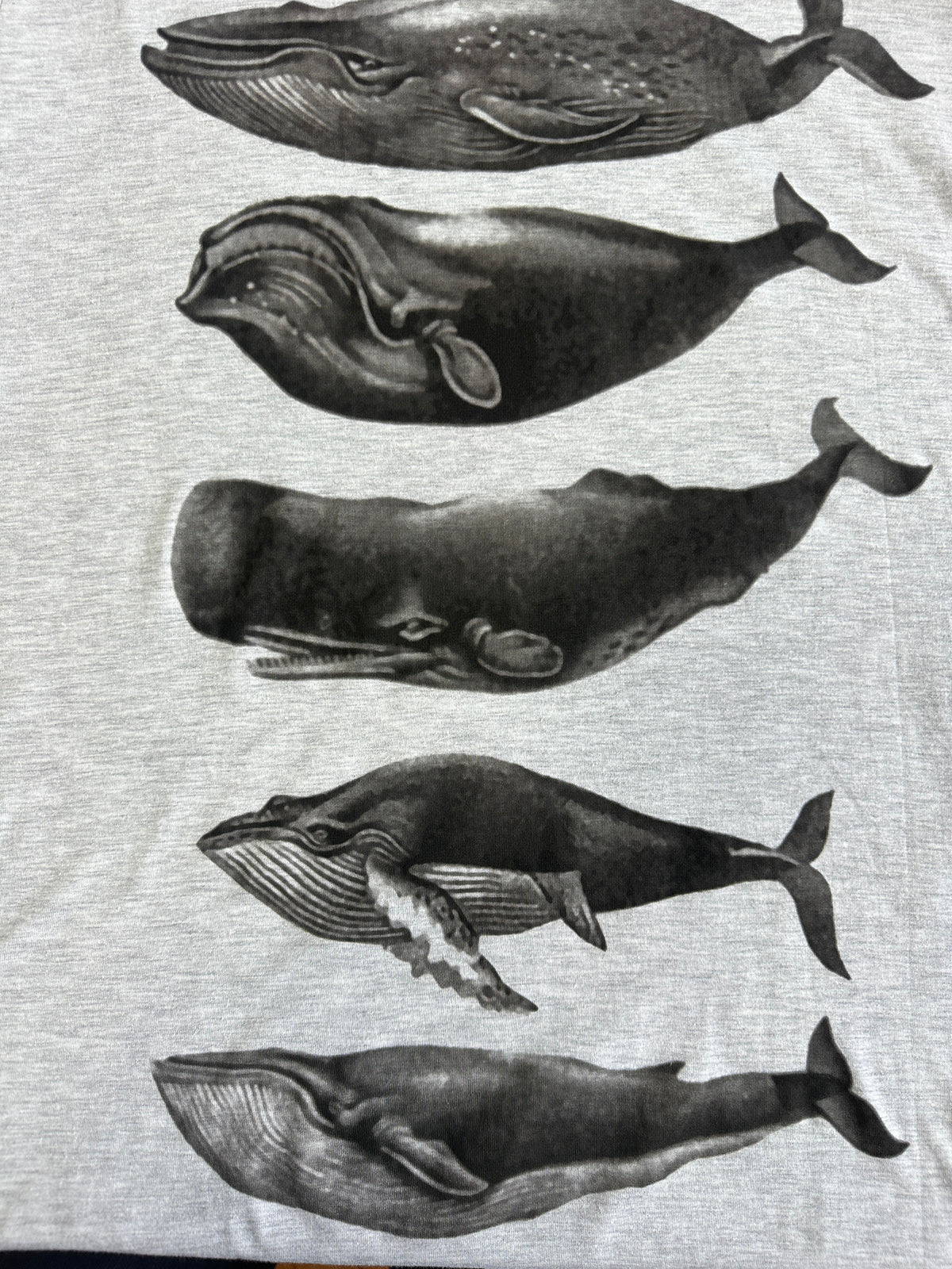 Vintage Whales Men's Tee - Grey Marle
