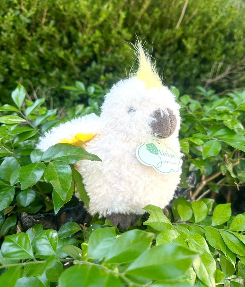 Curly Cockatoo Soft Toy White
