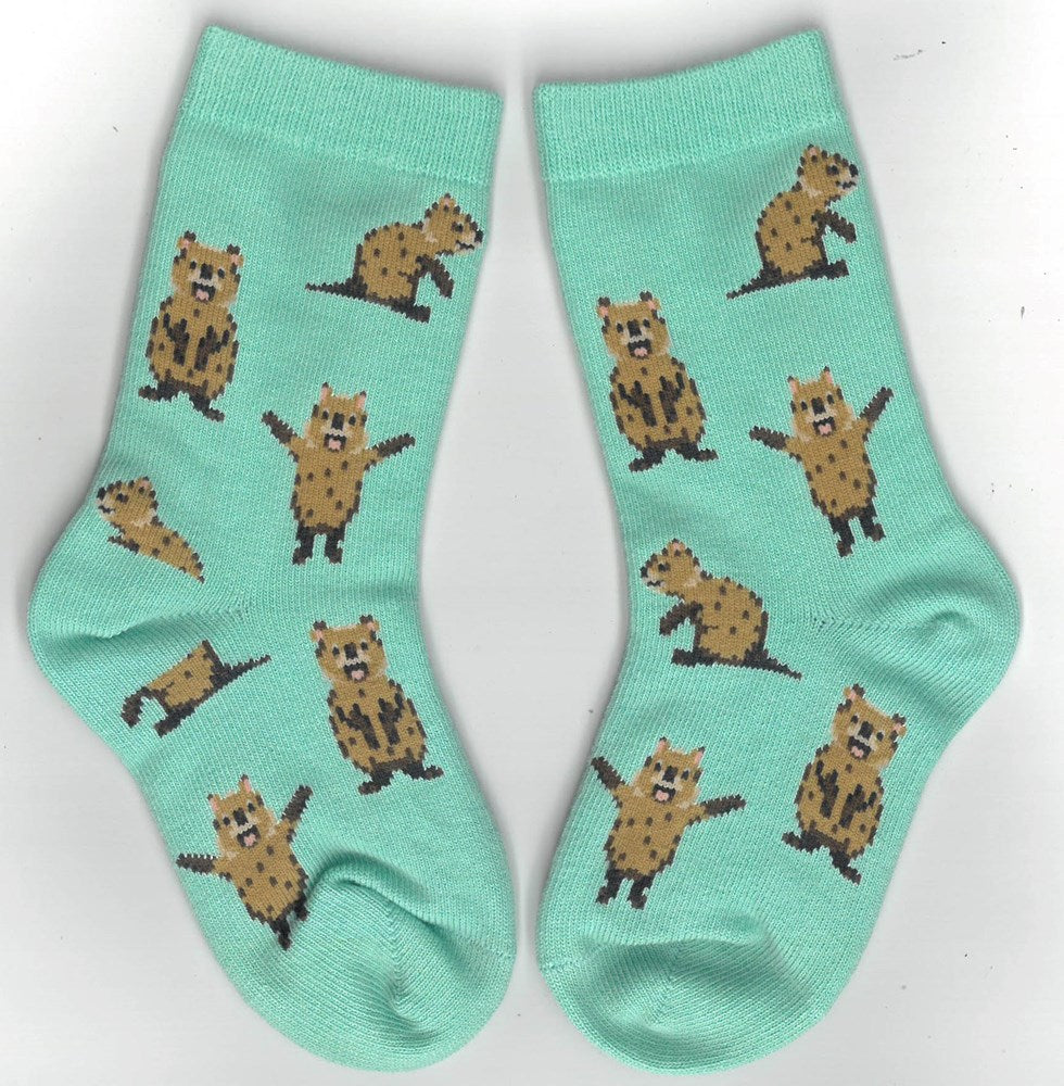 Quokkas Kids Socks (kids  2-4 years)