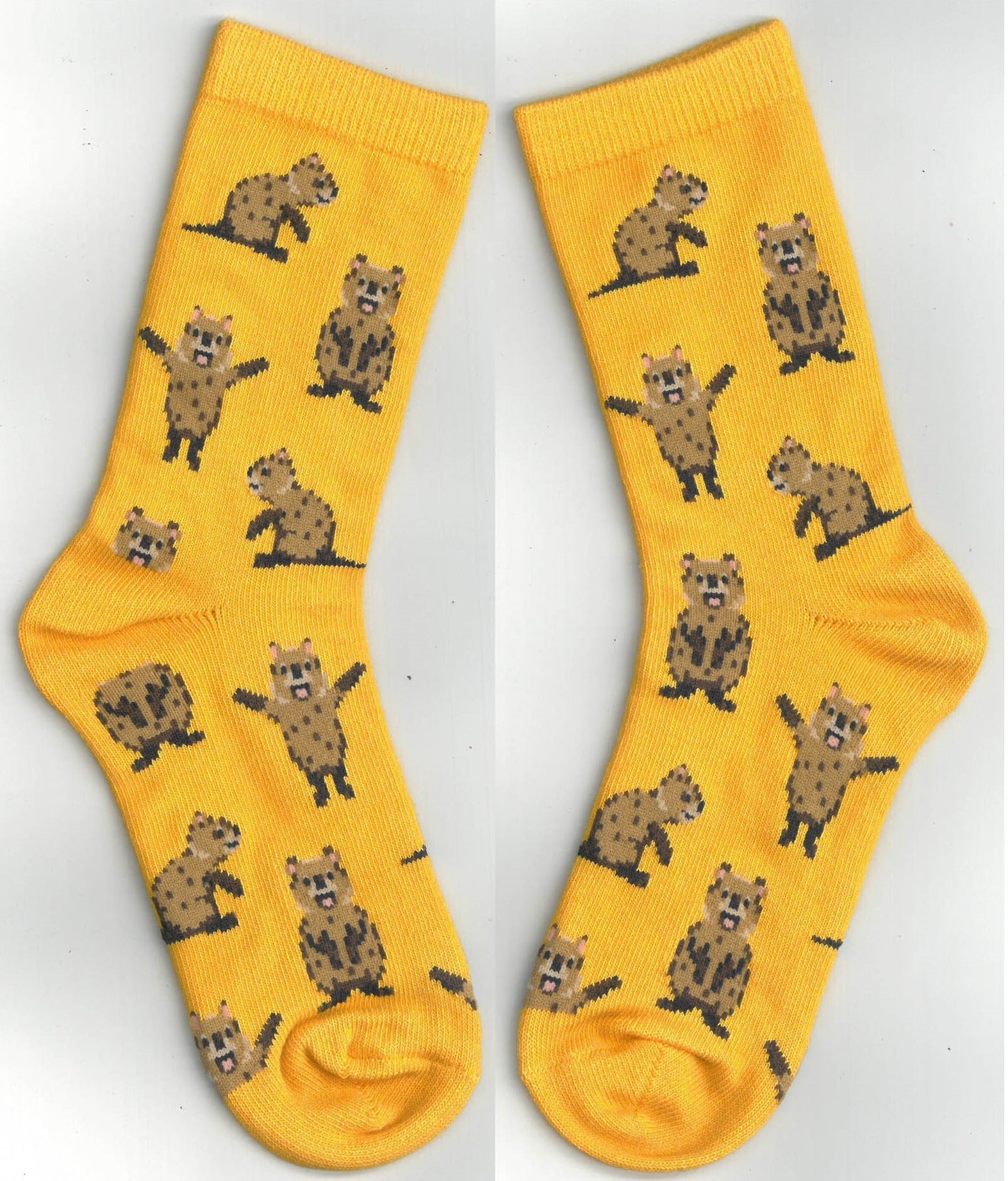Quokkas Kids Socks (kids 4-6 years)
