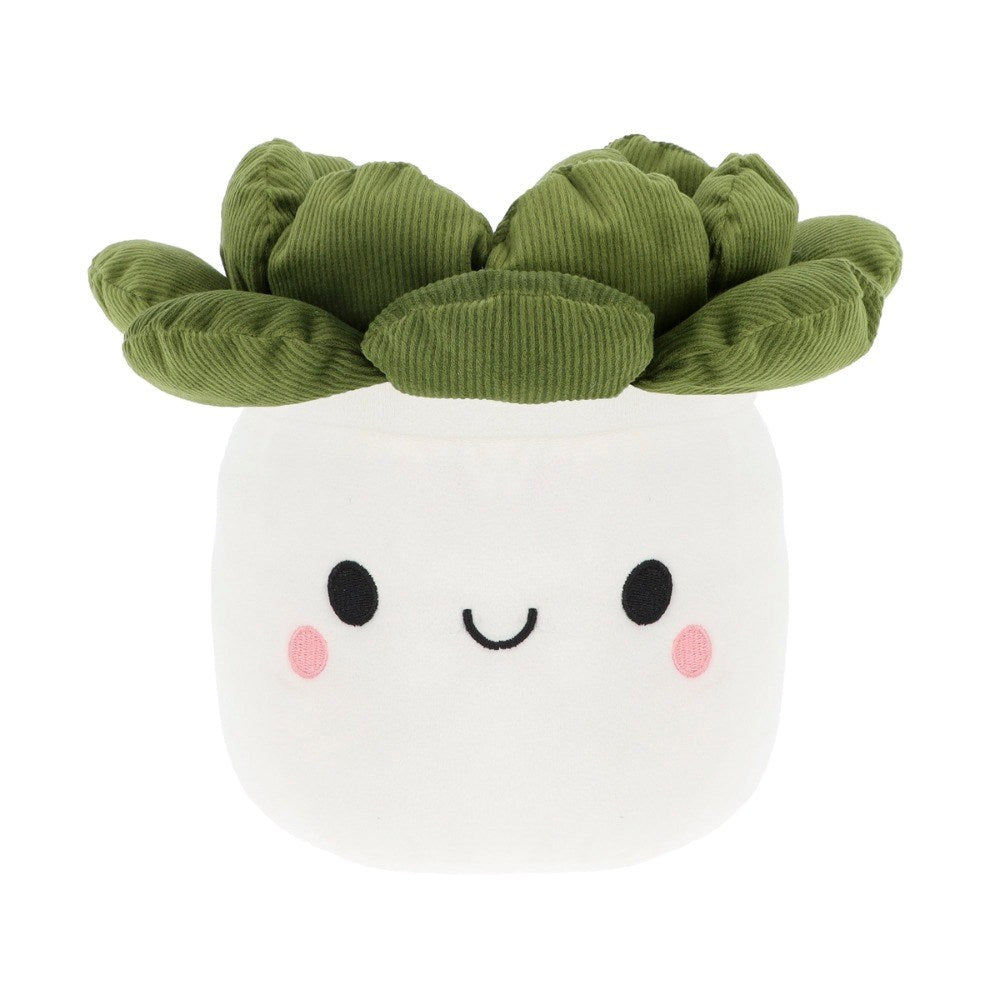 Keel Toys: Bobballs Plant Echeveria