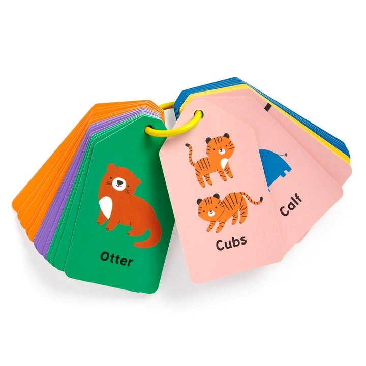 Mudpuppy: Flash Cards Baby Animal