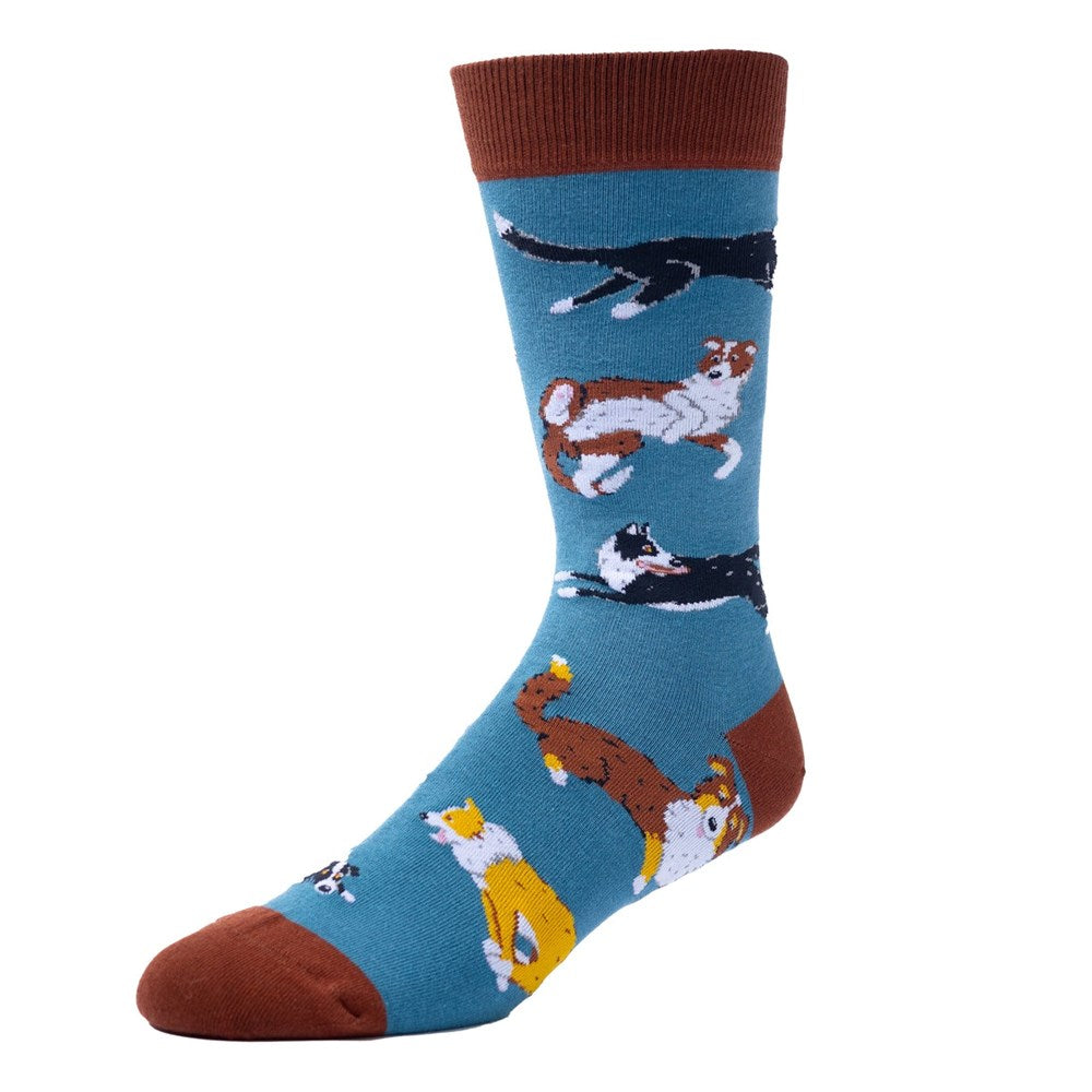 Spencer Flynn: Border Collie Dogs  "Ya Heard"  Mens Socks