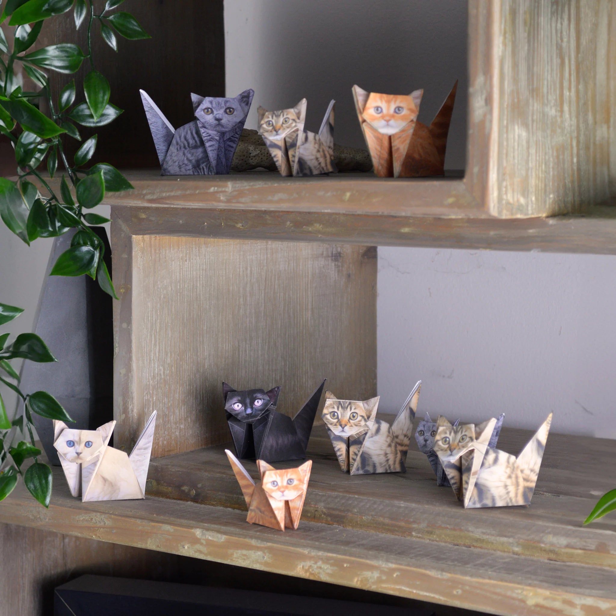 Pikkii: Paper Cats