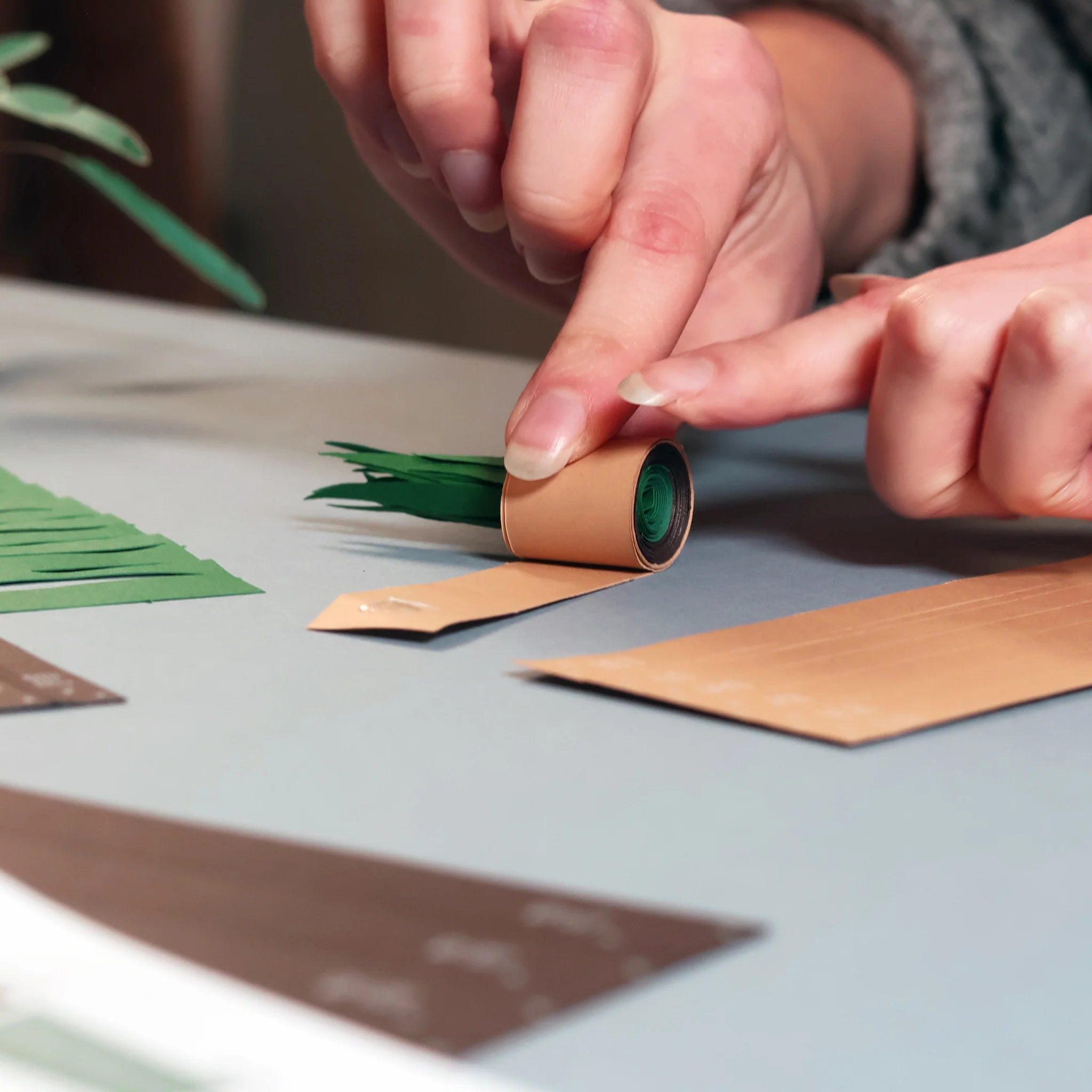 Pikkii: Paper Plant