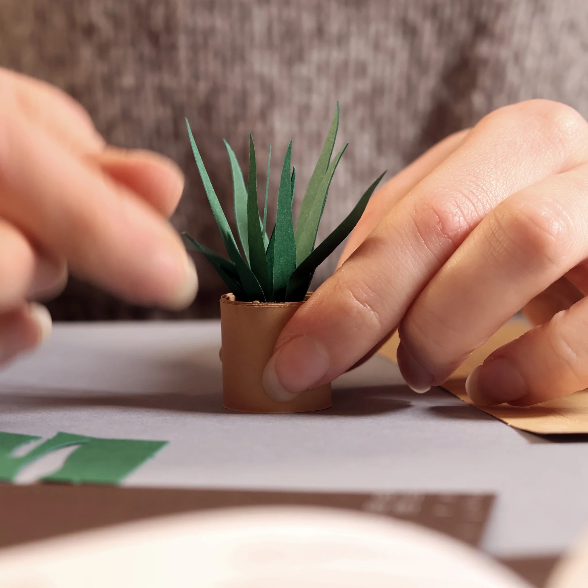 Pikkii: Paper Plant
