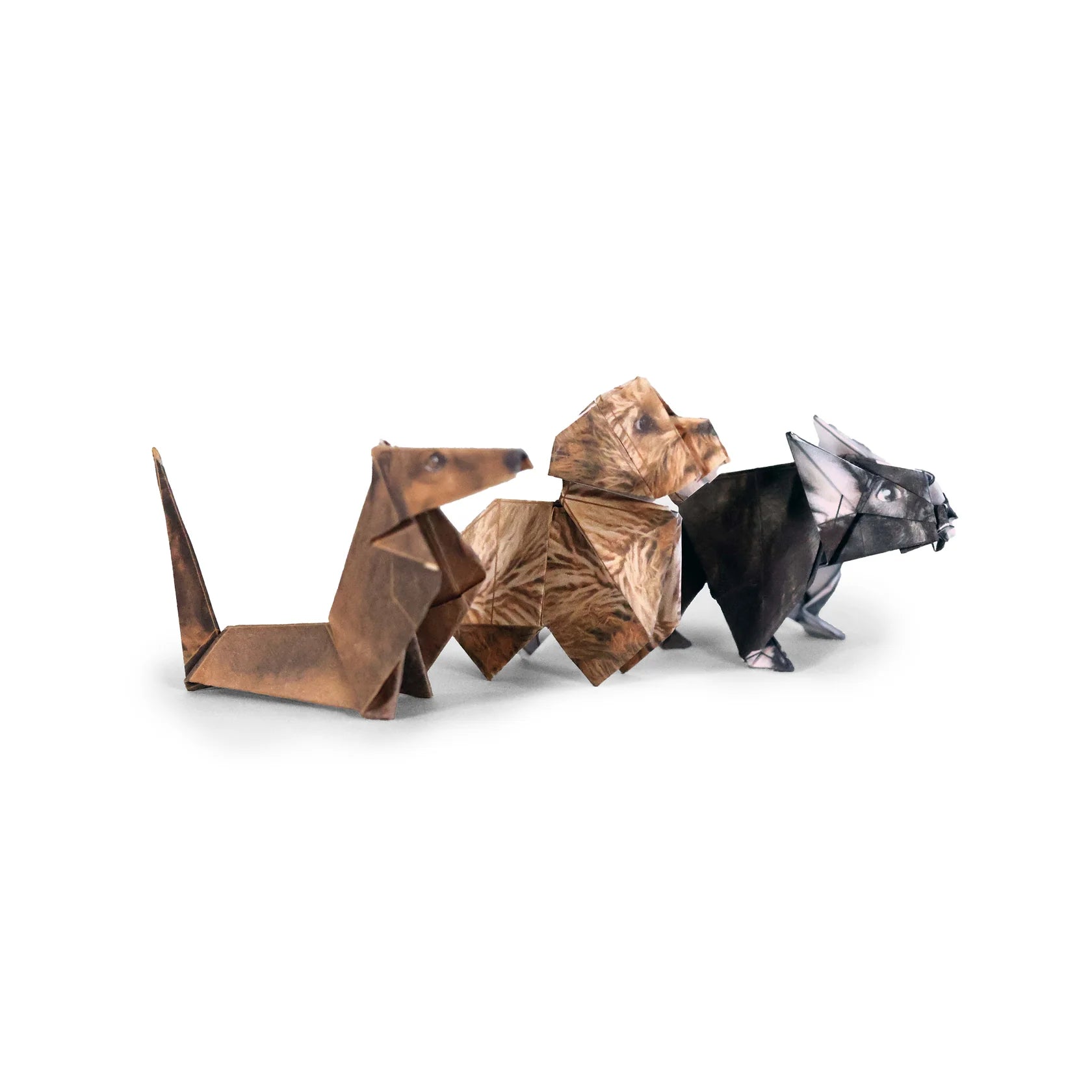 Pikkii: Paper Pups