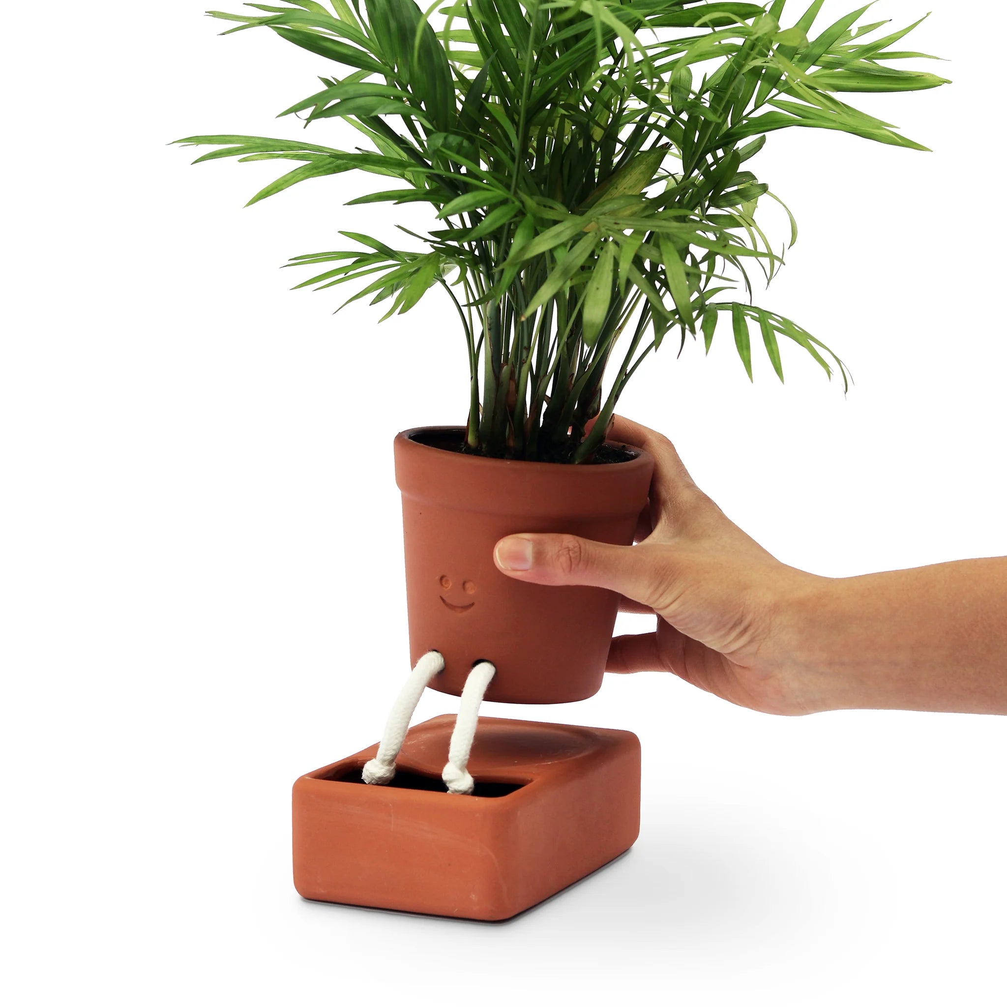 Pikkii: Planter Self Care