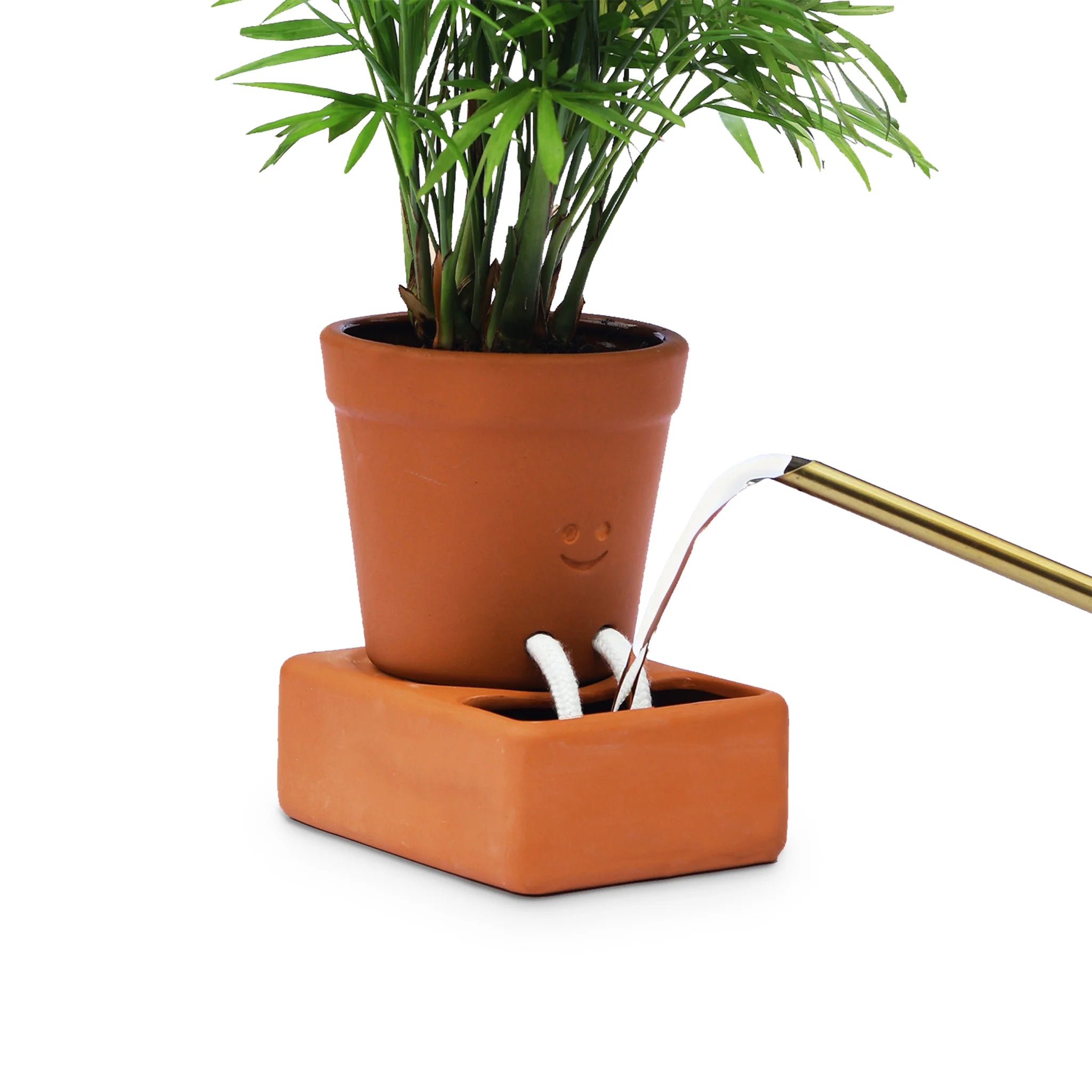 Pikkii: Planter Self Care