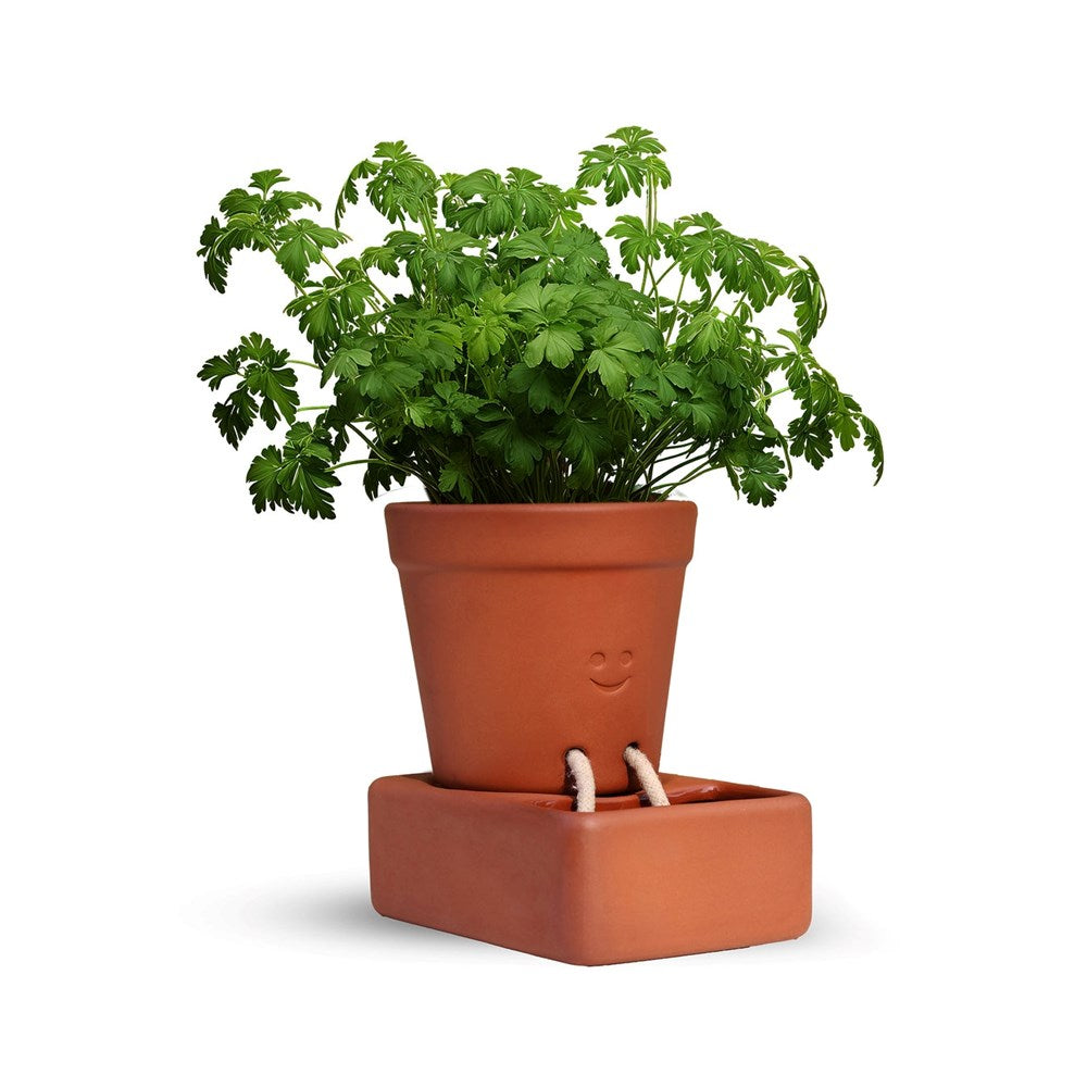 Pikkii: Planter Self Care