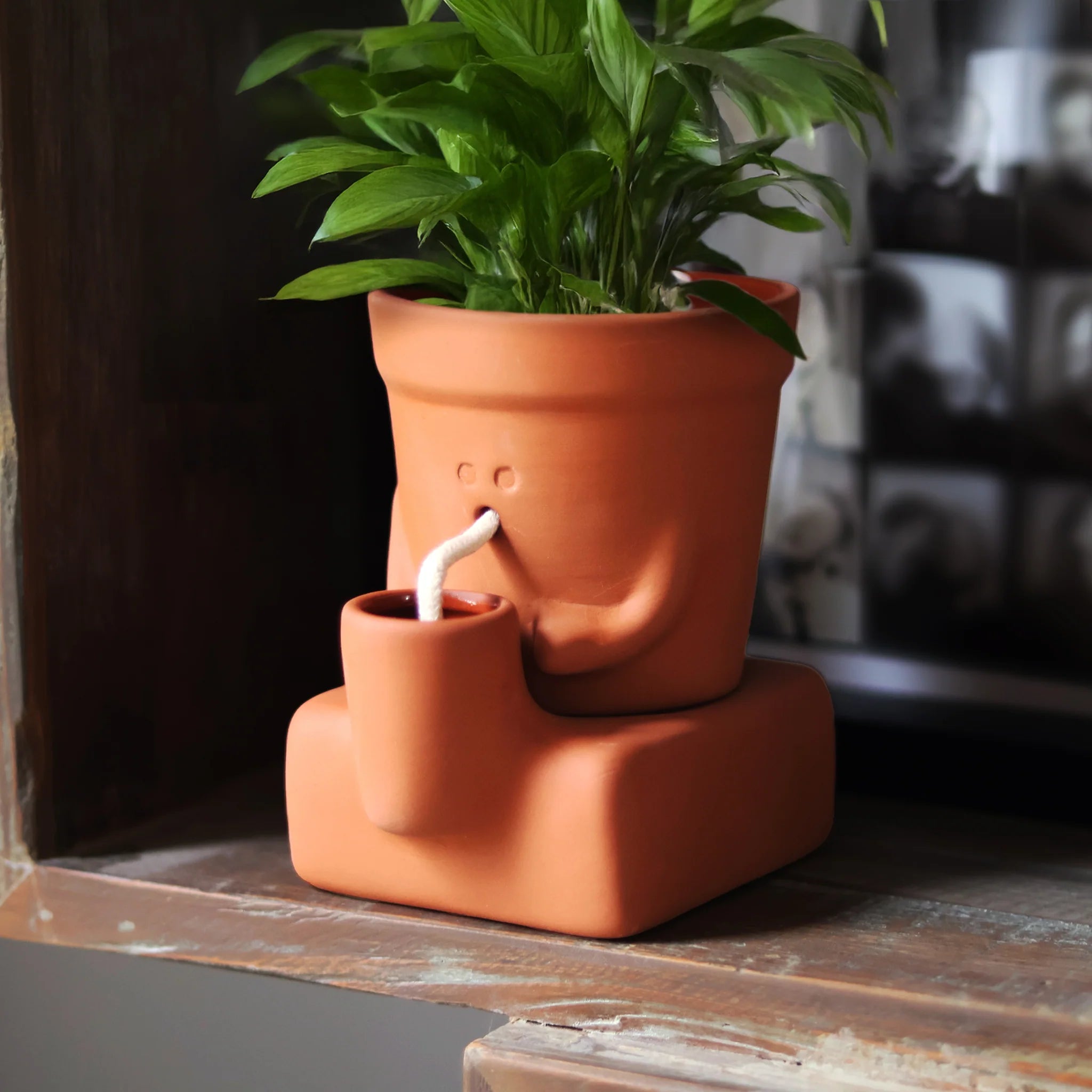 Pikkii: Planter Thirsty