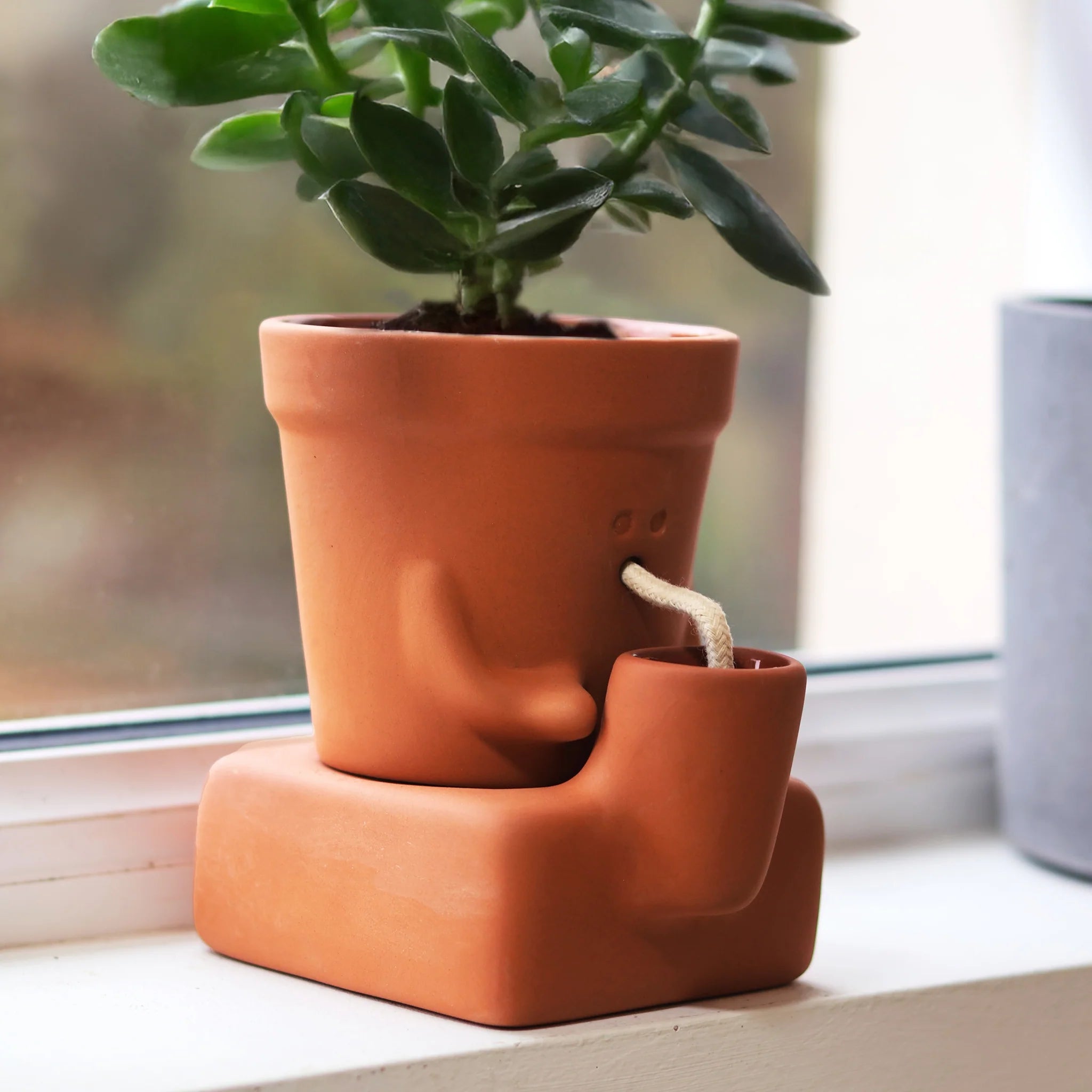 Pikkii: Planter Thirsty