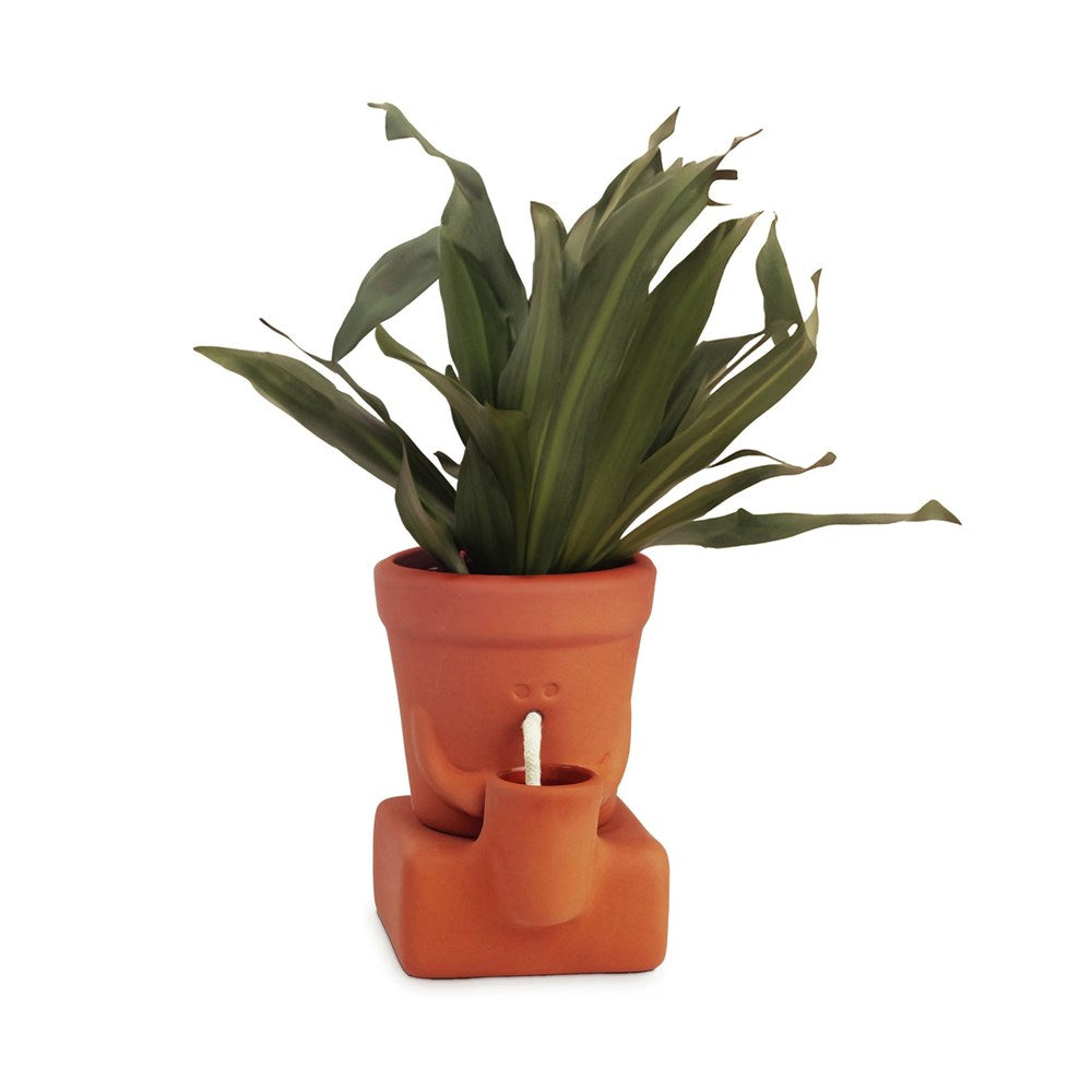 Pikkii: Planter Thirsty