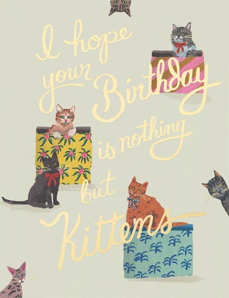 Red Cap: Foil Card Nothing but Kittens