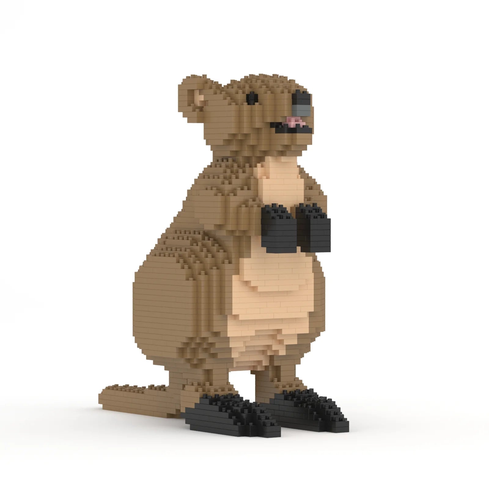 Jekca: Quokka