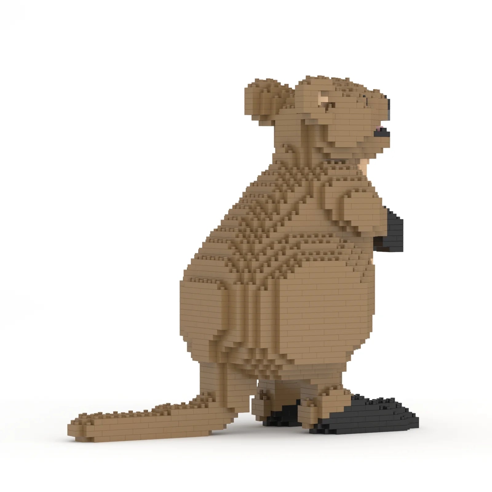 Jekca: Quokka
