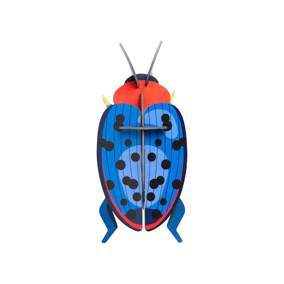 Studio Roof: Wall Art Beetles (B7) - Fungus Beetle