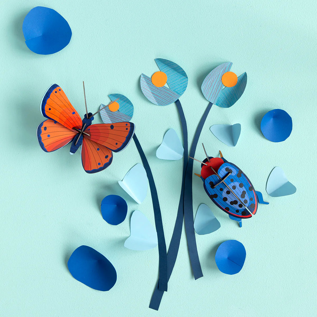 Studio Roof: Wall Art Beetles (B7) - Fungus Beetle