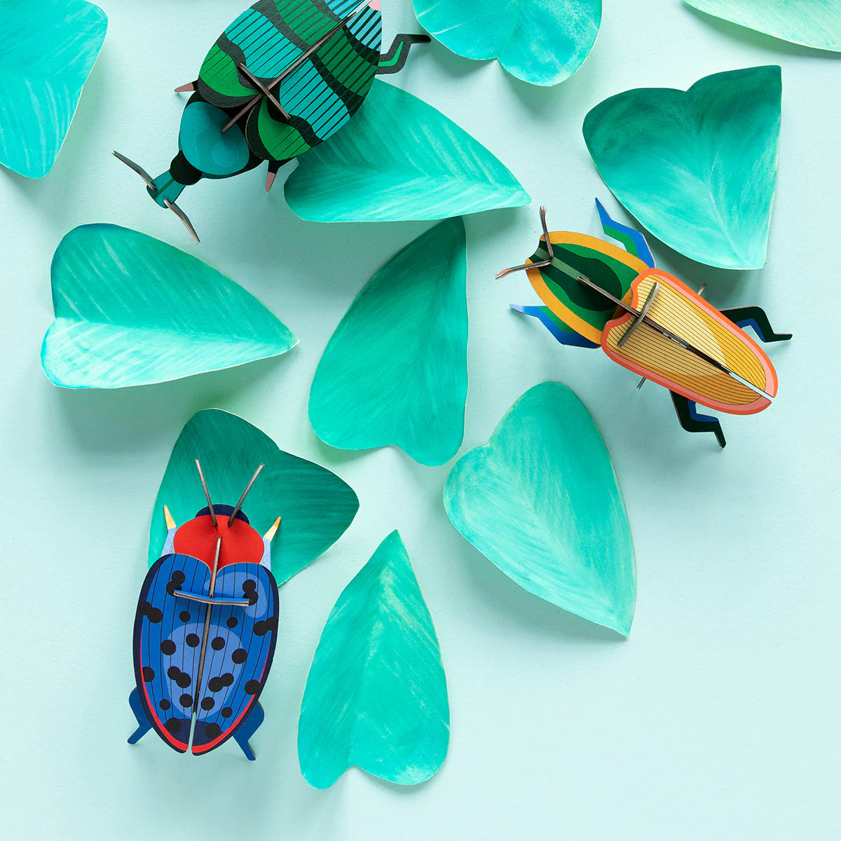 Studio Roof: Wall Art Beetles (B7) - Fungus Beetle