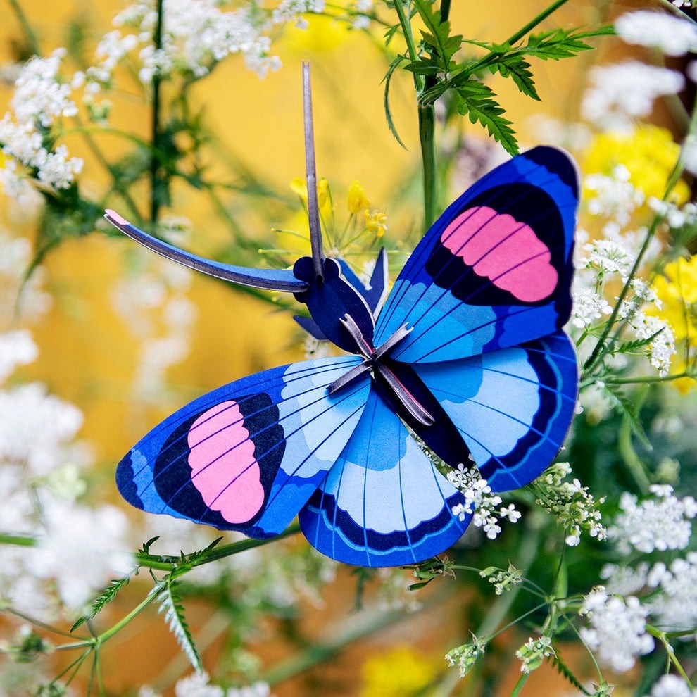 Studio Roof: Wall Art Butterflies (B7) - Peacock Butterfly