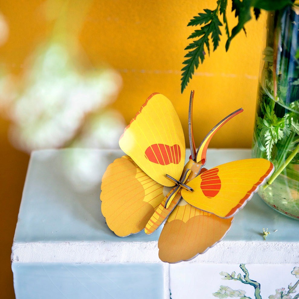 Studio Roof: Wall Art Butterflies (B7) - Yellow Butterfly