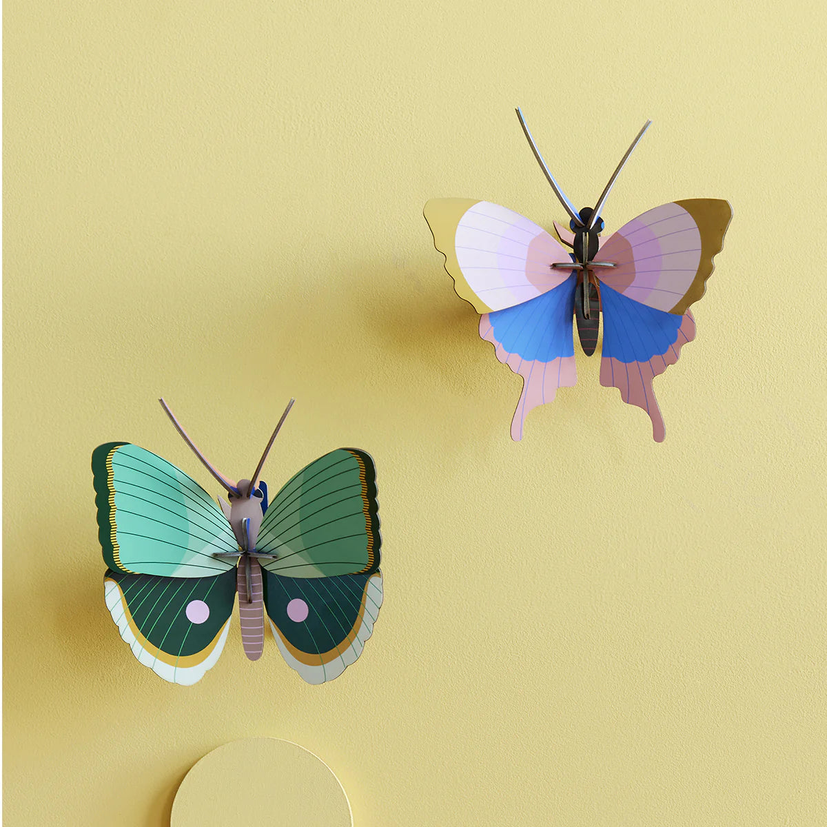 Studio Roof: Wall Art Butterflies (B7) - Fern Striped Butterfly