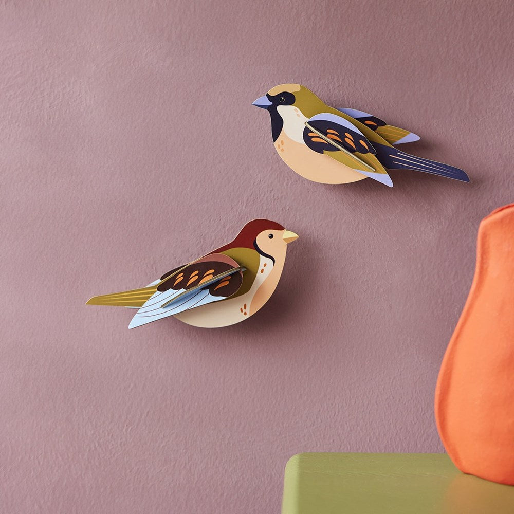 Studio Roof: Wall Art Garden Birds (B6) - Sparrows