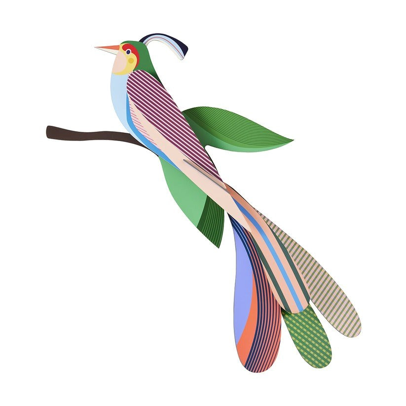 Studio Roof: Wall Art Paradise Birds (B4) - Maya