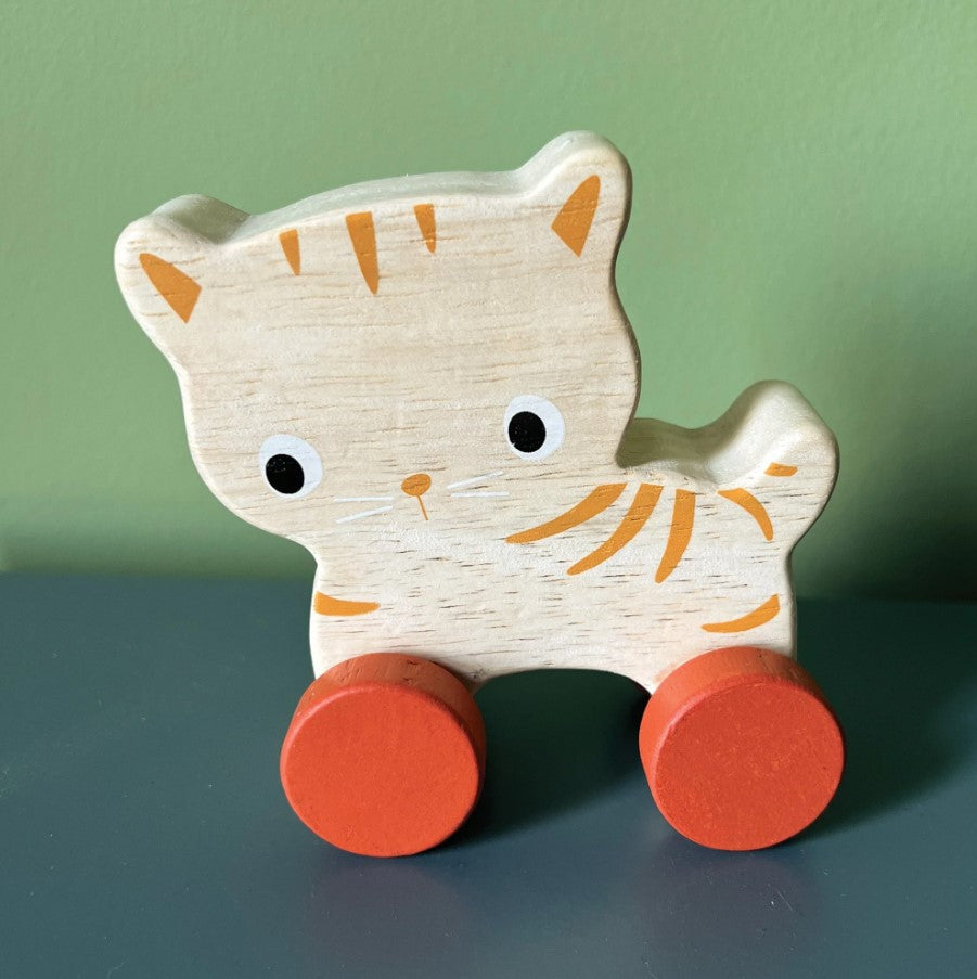 Kitten On Wheels