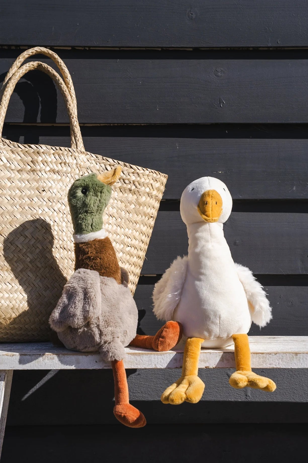 Nana Huchy: Hugo the Mallard Duck