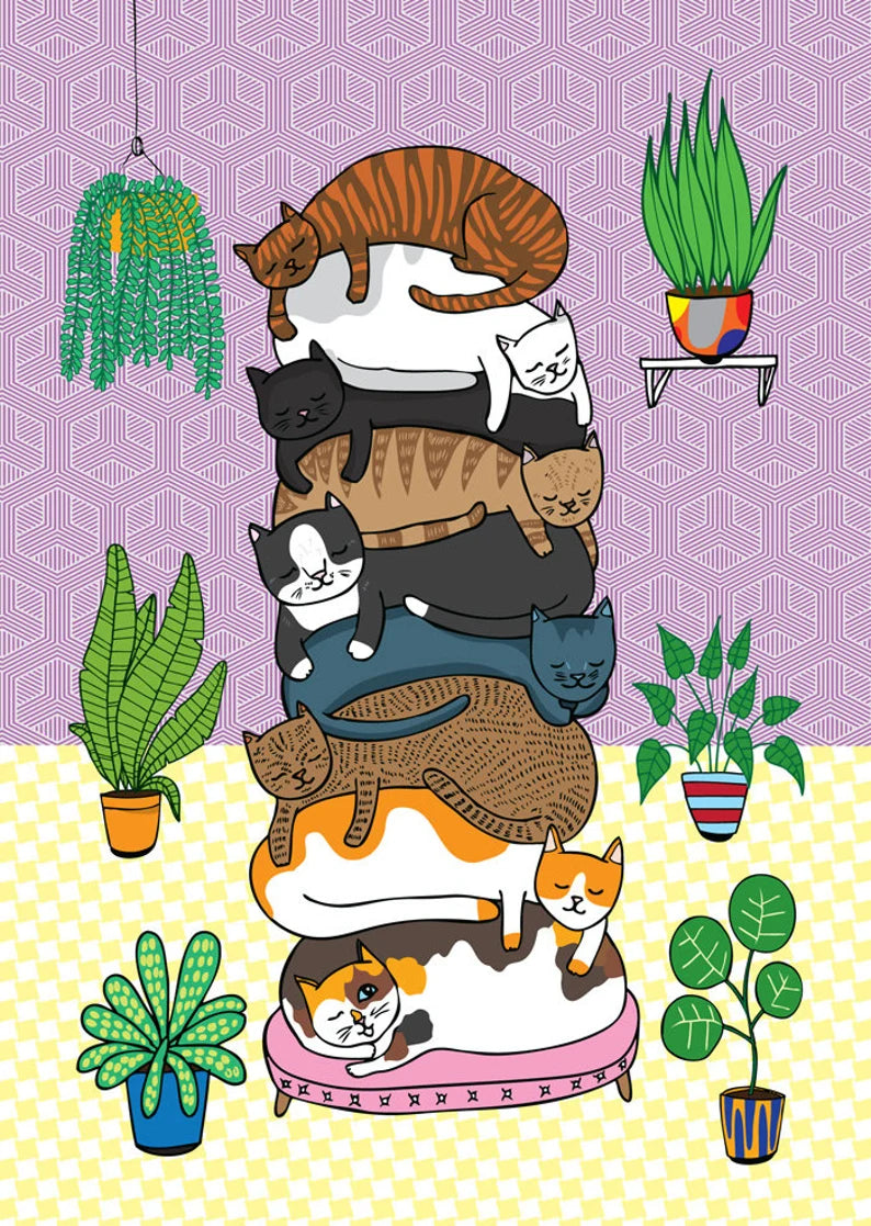 Microfibre Cloth - Cat Stack