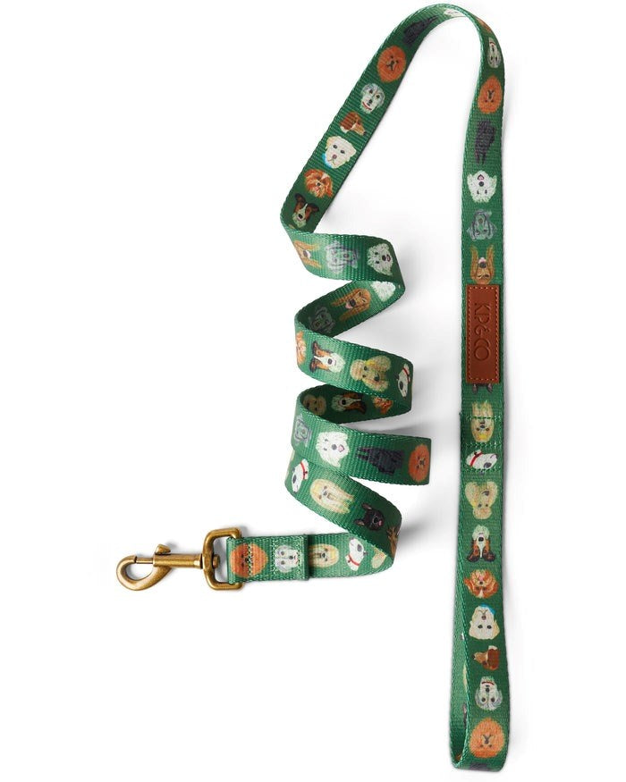 Dog Park Dog Lead Large