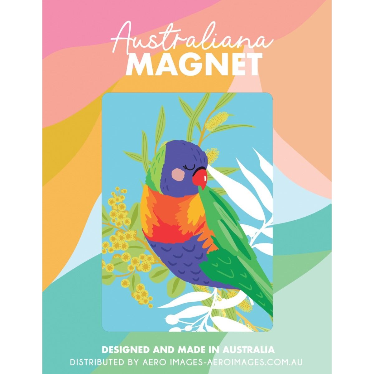 Aero Images Decorative Magnet - Rainbow Lorikeet