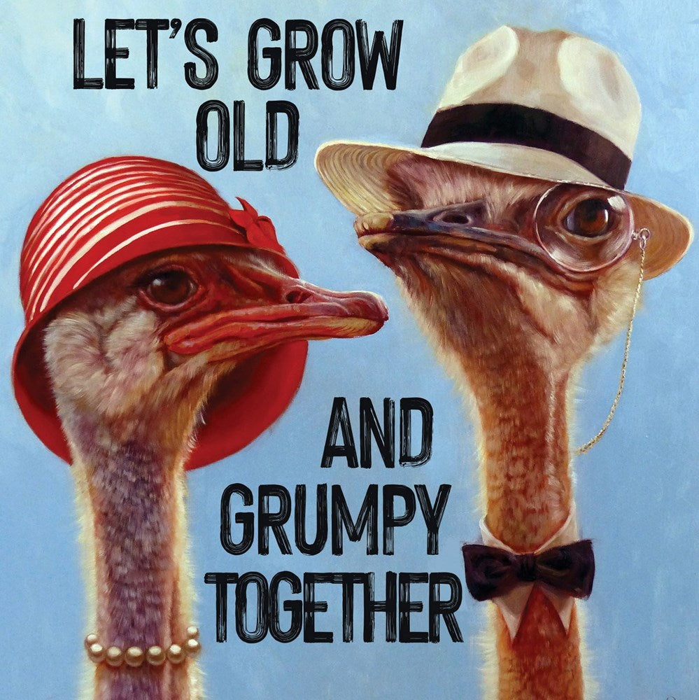 La La Land: Greeting Card Ostrich Couple