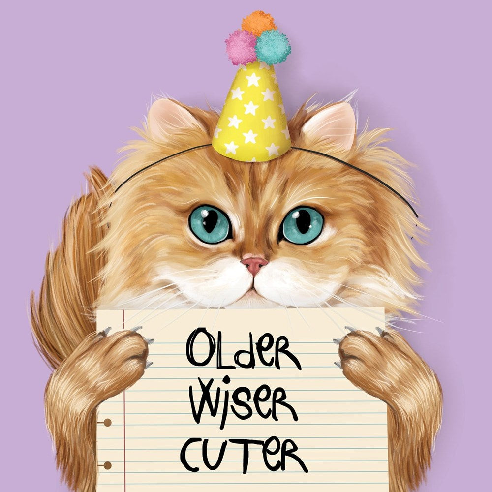 La La Land: Greeting Card Older Wiser Cuter